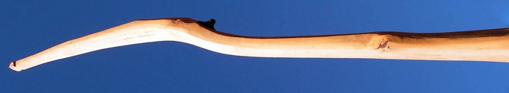 snakebow