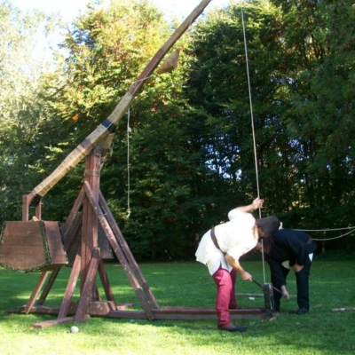 2010 (11)