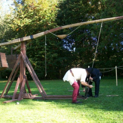 2010 (12)