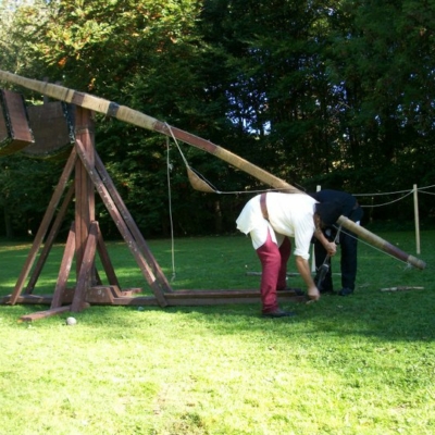 2010 (14)