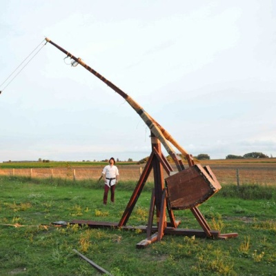 2011 (13)